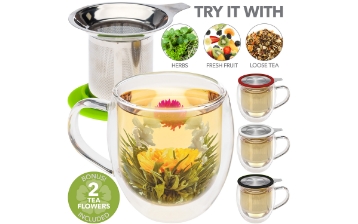 VENICE® Double Wall Glass Mug with Infuser & Green Lid/Coaster – 15oz/430ml